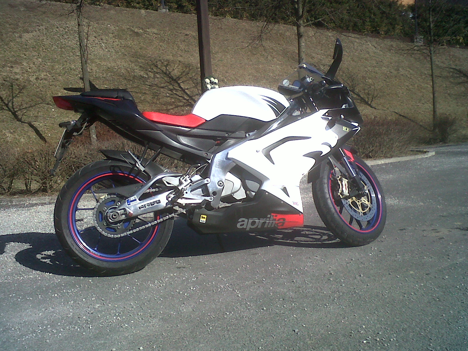 IMG00556-20110327-1544