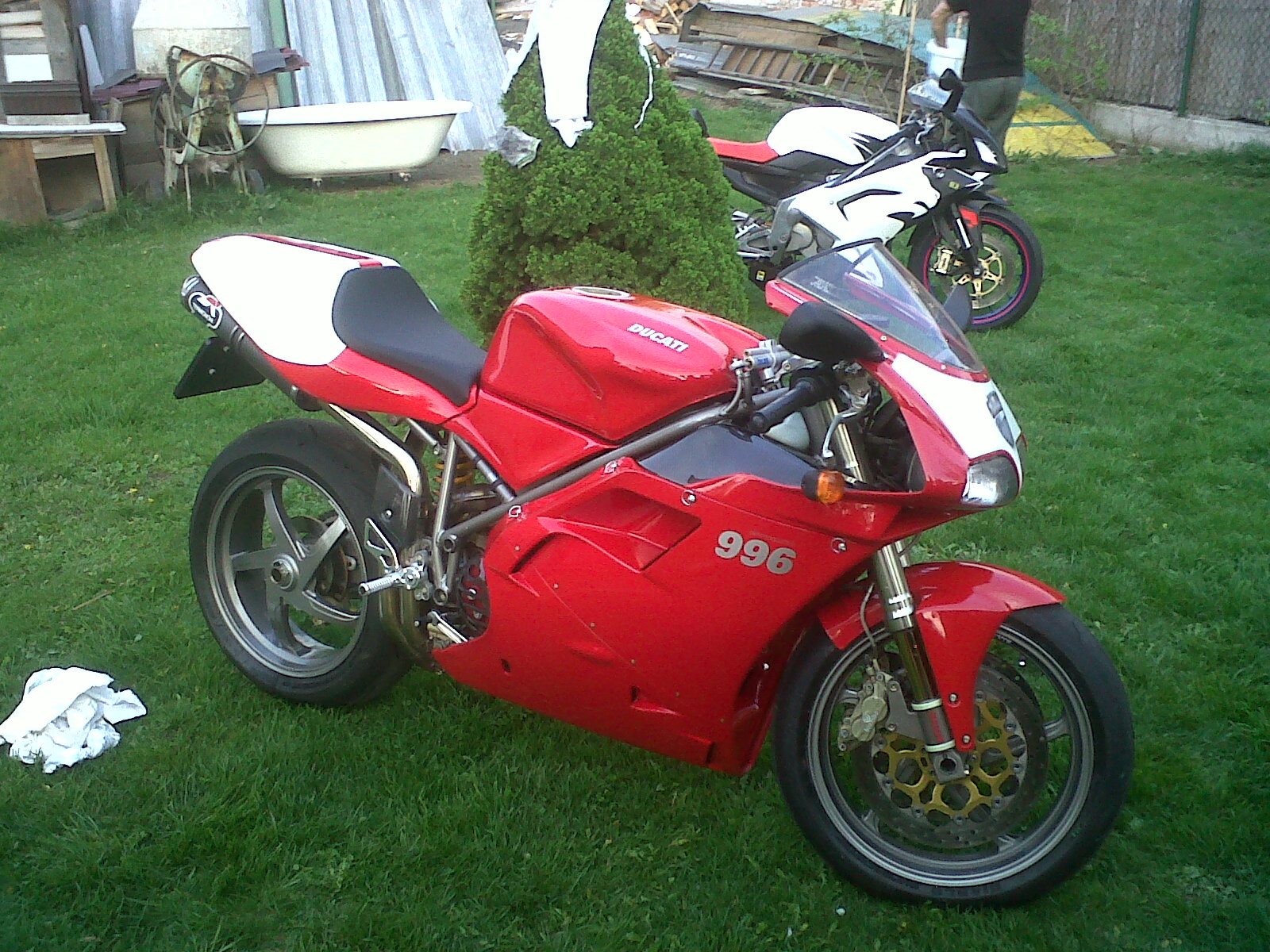 IMG00627-20110429-1915
